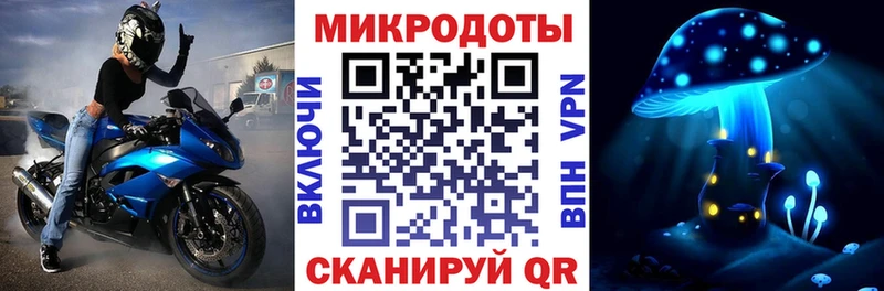 KRAKEN онион Новосокольники Псилоцибиновые грибы GOLDEN TEACHER сколько стоит